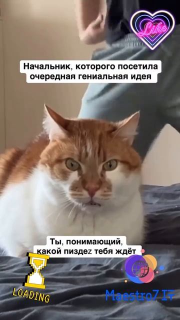 💻 Работа в компании (начальник клоунады) ...