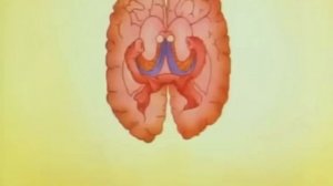 ТЫ ПОПАЛСЯ НА КЛИКБЕЙТ (Сыендук)