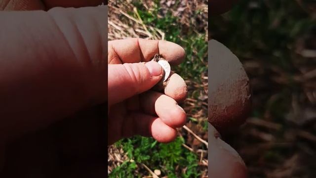 ПРОСТО КРАСОТА, СЕРЕБРО ИМПЕРИИ!!! КОП, КОП С МЕТАЛЛОИС?