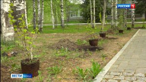 Активистки Союза женщин республики в сквере сыктывкарского медколледжа им. Морозова высадили  декора