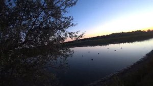 ОХОТА НА ВОДОПЛАВАЮЩУЮ В ОКТЯБРЕ. уххххх какая