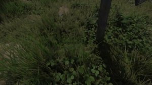 Kingdom Come deliverance 2: Где найти лопату в начале игры?