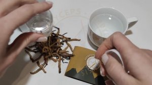 Кордицепс Cordypower 10 грамм