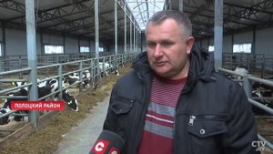 Лукашенко: Во дворце стоит корова – получаем чистое м?