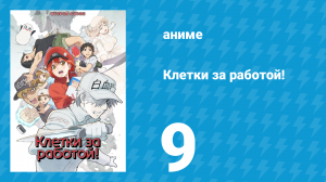 Клетки за работой! 1 сезон 9 серия «Тимоциты» (аниме-сериал, 2018)
