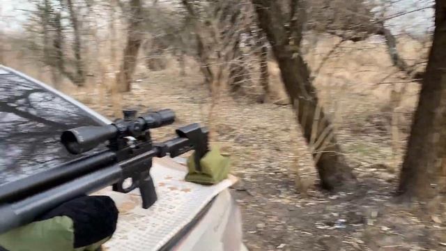 Стрельба из псп на открытом воздухе