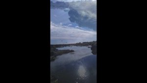 Река Клязьма в Орехово-Зуево. Московская область. Лето.