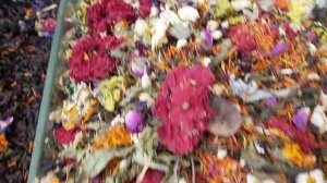 Азербайджан Баку. Зеленый Базар            Лечебные Травы ?