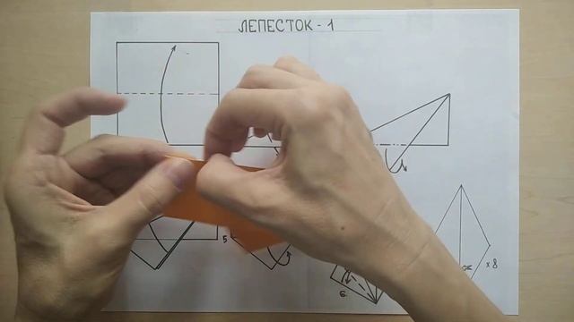 База КНИЖКА. Лепесток 1 смотреть онлайн