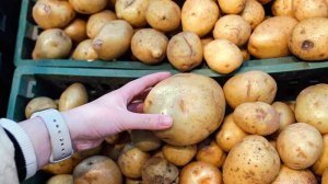 Белоруссия сняла запрет на ввоз в республику картофеля и лука из ЕС
