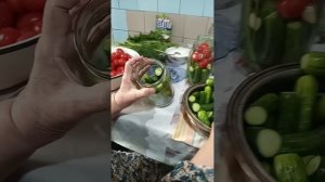 Антика сокли бодринг йопиш усули