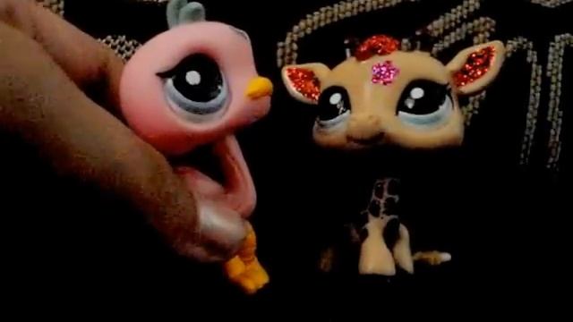 Пары обители анубиса после смерти Джой смотреть онлайн