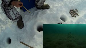 На балансир в 2018 году. Над водой и под водой.