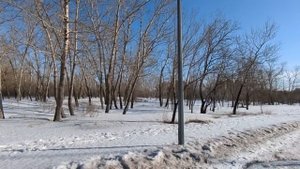 Мама ждёт денег, твои проблемы ей неинтересны, — сказа