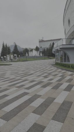 Новосибирск сегодня 28.05.2025:  холодно и сыро