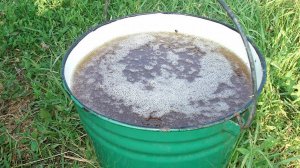 Как избавиться За 3 Секунды от травы и сорников!