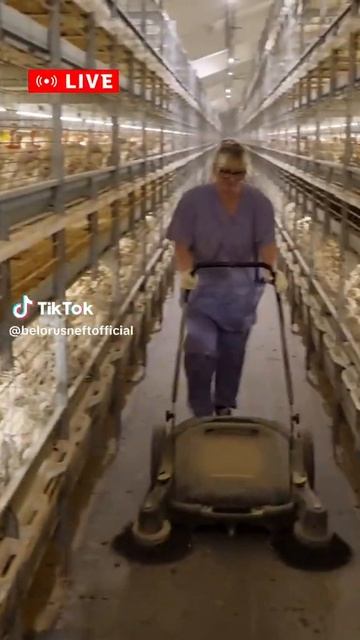 Новые птичники РУП "Белоруснефть-Особино" смотреть онлайн