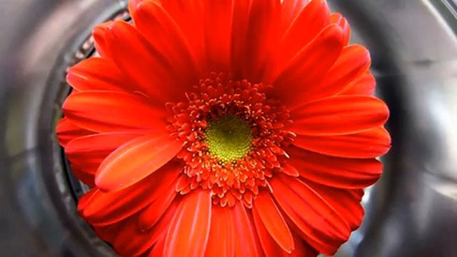 Слушать новую русскую песню и видео онлайн смотреть онлайн