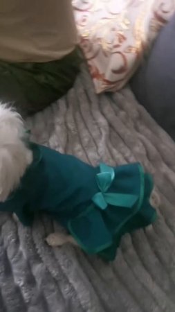 Наряд для рЭсторана