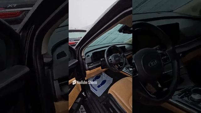 KIA Carnival Limousine краткий обзор #carnaval #limusin