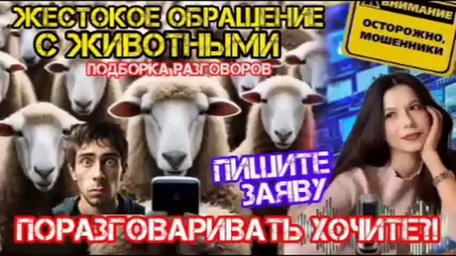 Мошенники звонят, звонят и звонят.... _Нюша _Антимошенники