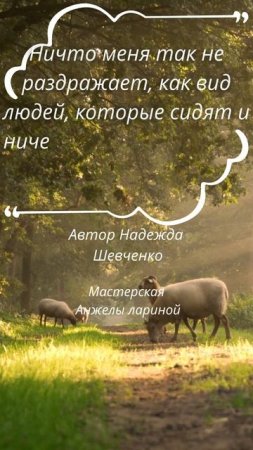 Что меня раздражает