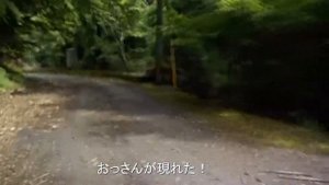 Inunaki Tunnel/Тоннель Инунаки