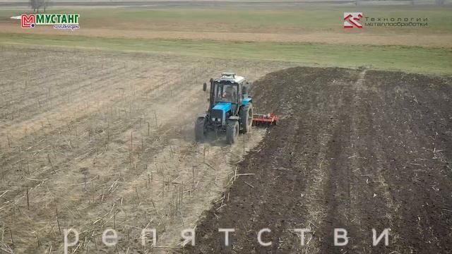 Линта БДН 4 смотреть онлайн