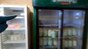 Від корови до банки. Охолодження молока | Private Milk | Трав?