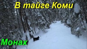 Промысловая рыбалка.