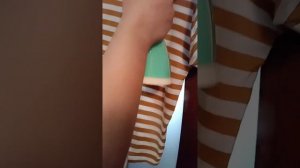 Обзор вертикального ручного отпаривателя RAF