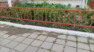 как постригся?до и после