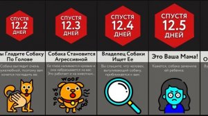 Дотронетесь и Вас Захотят Убить!