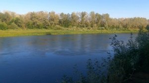 Вернулись из Кореи в Россию