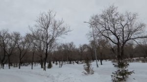Родственники мужа приехали делить мою квартиру: 'Трёш?