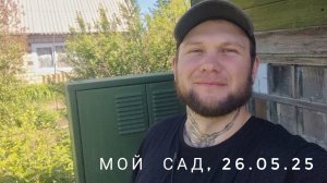 Мой сад, 26.05.2025