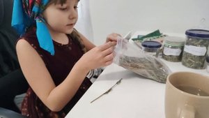 Вероніка,робимо чай з Меліси!