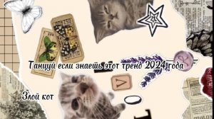 Танцуй если знаешь этот тренд 2024 год🍡🐈⬛ (новые)🍡?