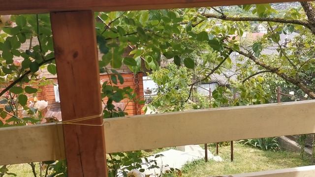СОЧИ ГОРНОЕ ЛОО ВЕЧЕР 28.05.2025
