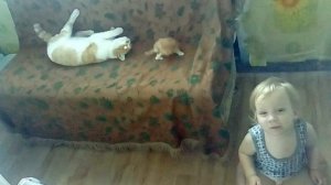 Муризик,Котёнок и Федя