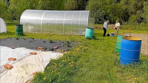 КАЛУЖСКАЯ ОБЛАСТЬ. НИ ОДИН ОЛЕНЬ НЕ ПОСТРАДАЛ. САЖАЕМ КАРТОШКУ В ДЕРЕВНЕ.