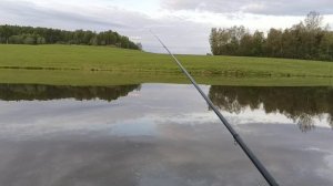 Рыбалка на полевом пруду