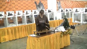 Гран-При Роял Канин 7 Декабря 2013 Часть 04