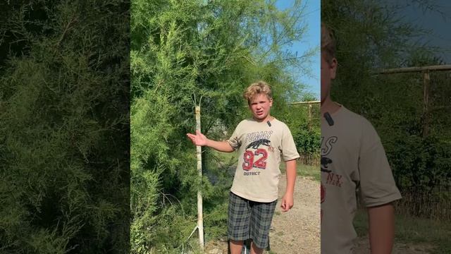 VID_20240910_212114_030.mp4