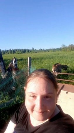 Добрый вечер ✌️. Какая у вас сейчас погода? У нас завернула жара +28/30°