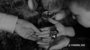 Осколки памяти.