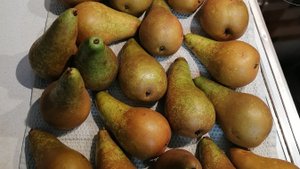 Угадай песню по эиодзи