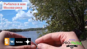 Pro-Рыба | #Рыбалка в мае. Москва-река