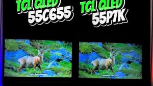 МОДЕЛИ TCL 2025 - ЧТО НОВОГО?!