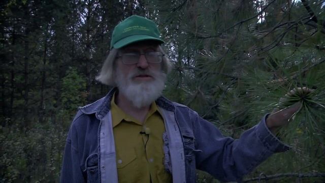 РОДОВОЕ ПОСЕЛЕНИЕ «КОВЧЕГ». ПОМЕСТЬЯ НА ГЕКТАРАХ | «МО